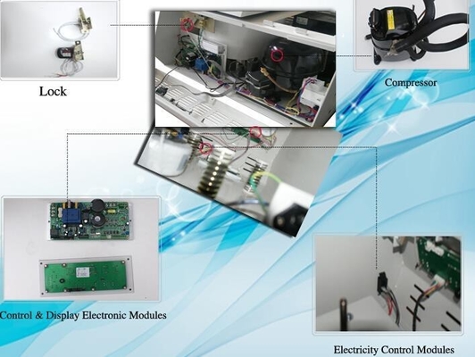 Inverter Motor Benchtop Refrigerated Centrifuge with LCD Screen